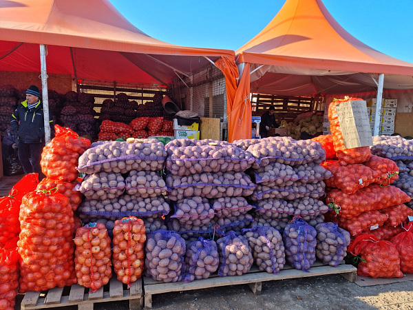 Шәһәр ярминкәләрендә 900 тоннадан артык продукция сатылган