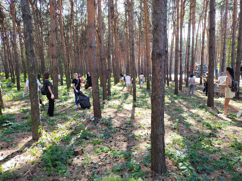 В Челнах прошла уборка территории