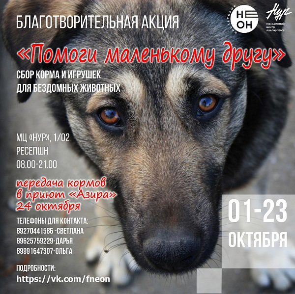 Челнинцы могут принять участие в ежегодной благотворительной акции «Помоги маленькому другу»
