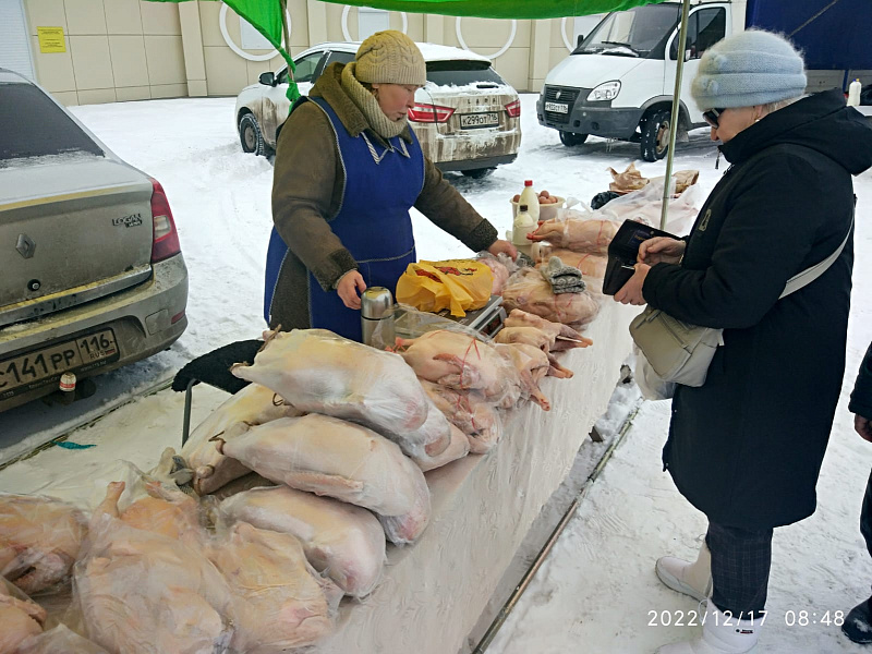 В Челнах проходят ярмарки «Новогодний гусь»