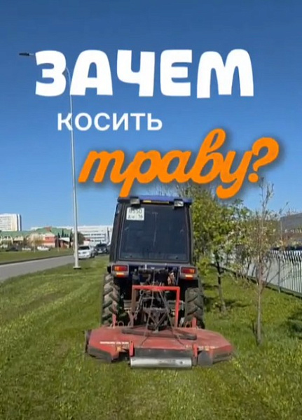 Зачем косить траву?