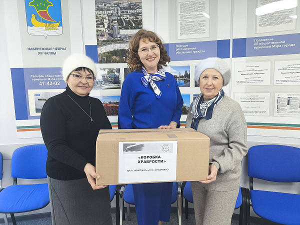 Челнинские председатели ТОС собрали «коробку храбрости»