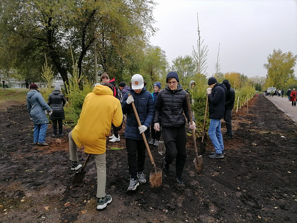 Лиственницы посадили вдоль одного из челнинских проспектов